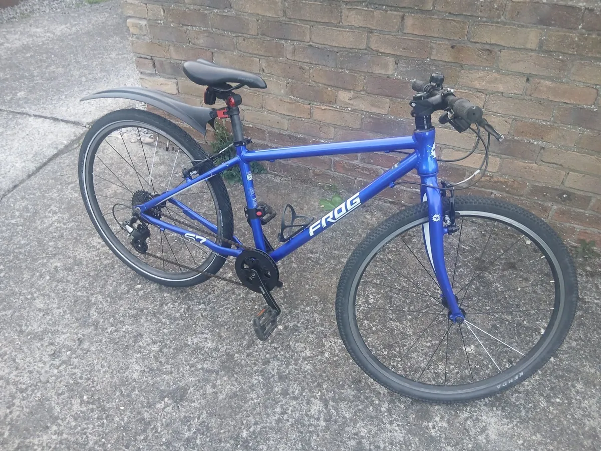 Frog bike  - Based in Dublin 14 - Image 1