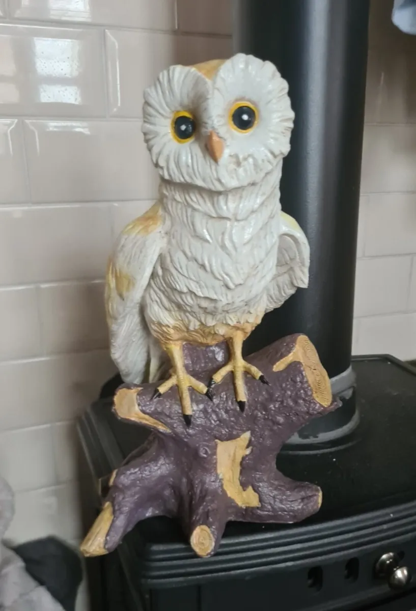 Garden  owl