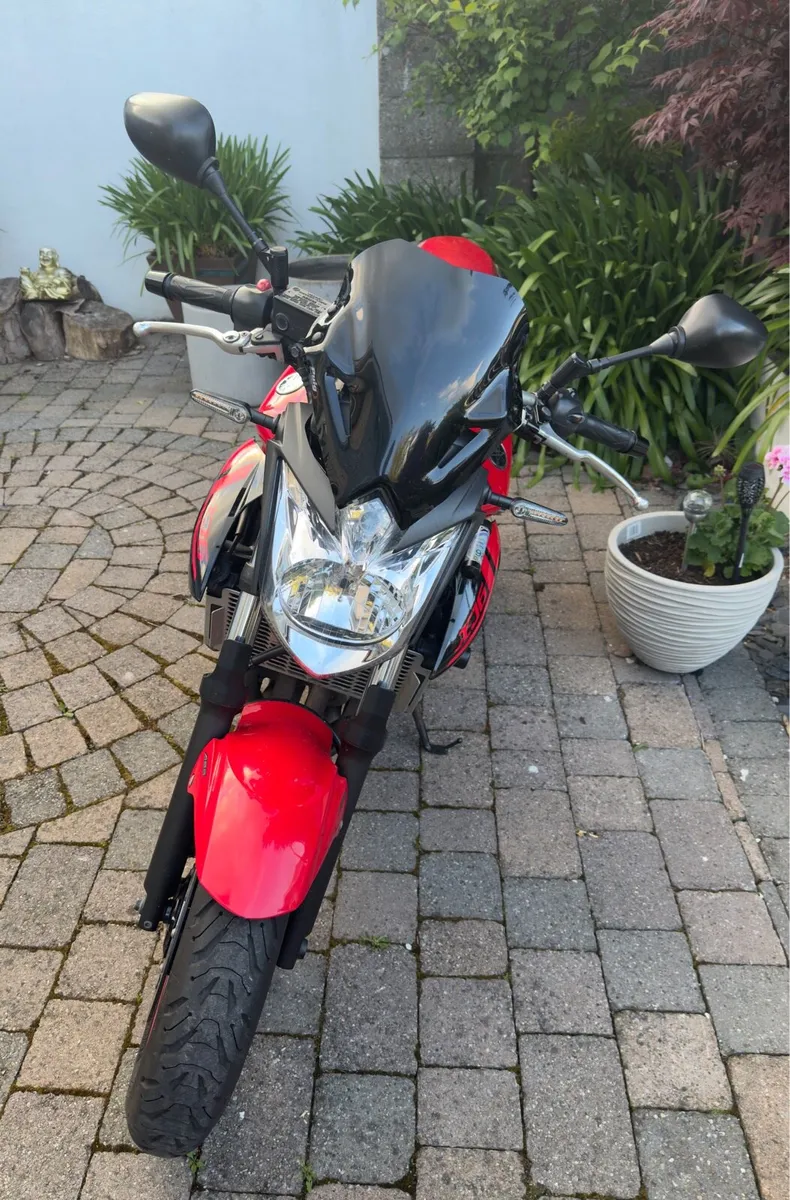Yamaha XJ6n (very clean) - Image 3
