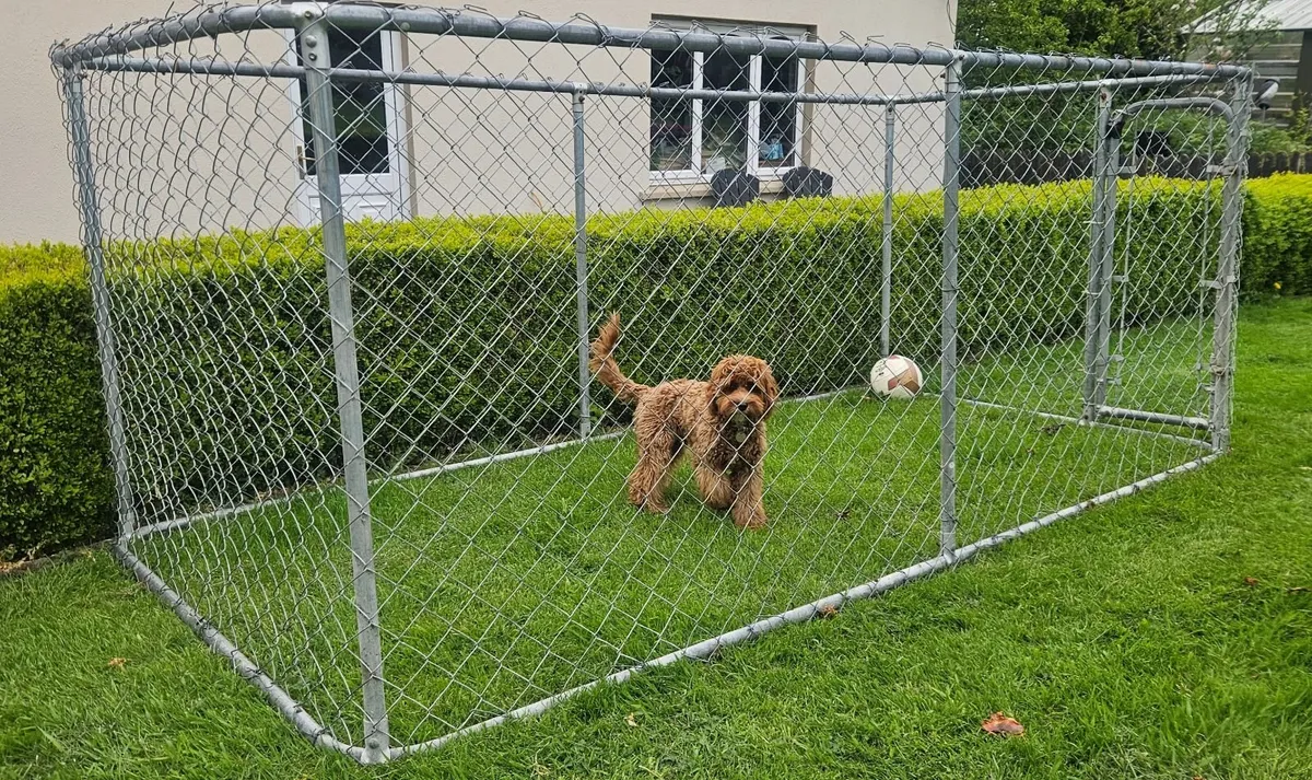 Dog Pen