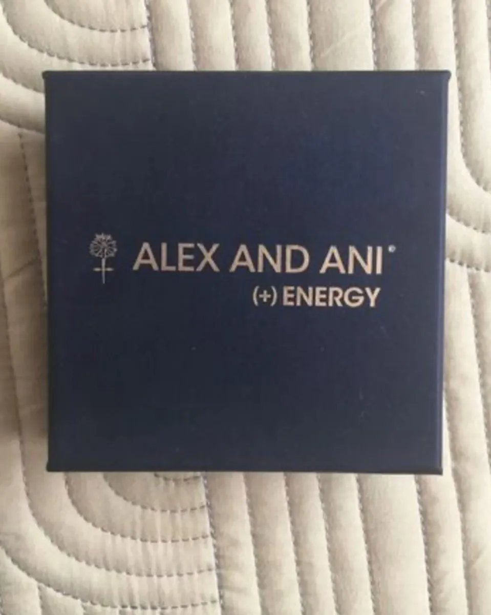 BNWT Alex and Ani Bracelet - Energy - Image 1