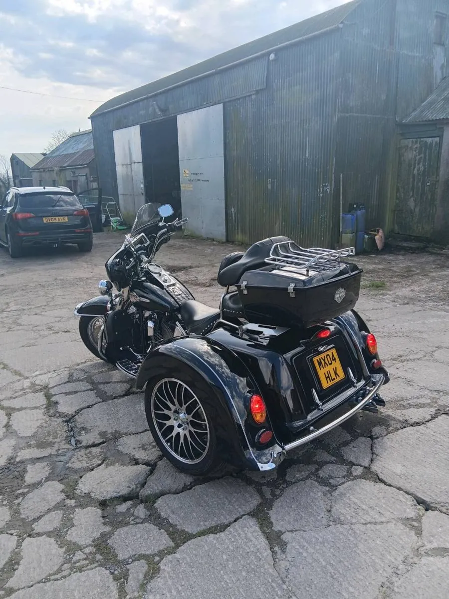 Trike - Image 4