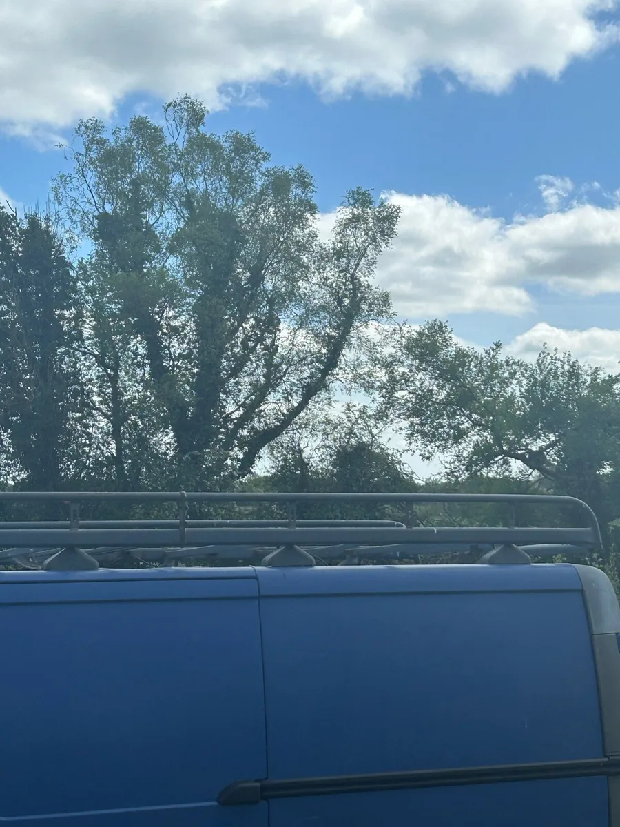 Roof rack - Image 3