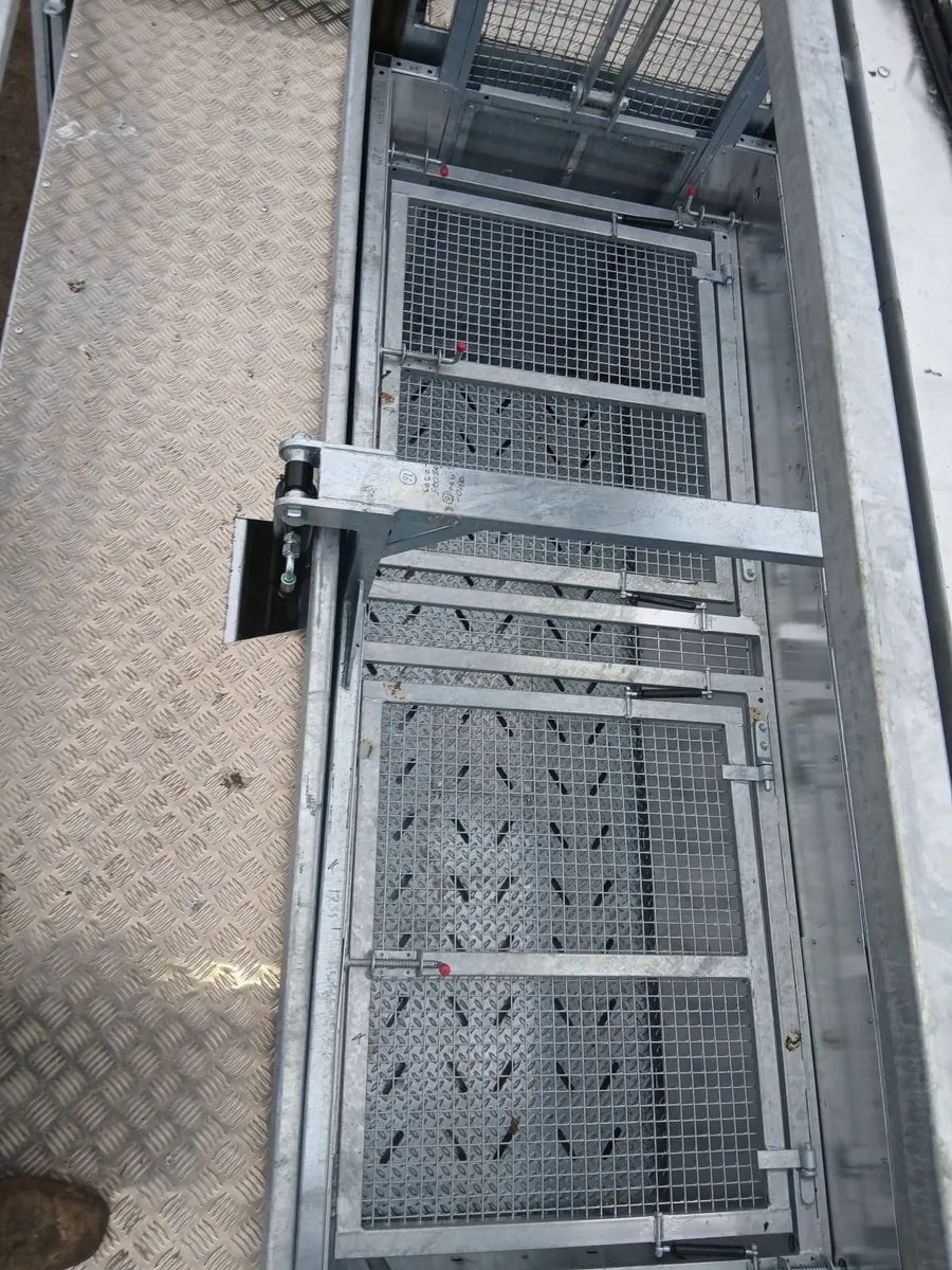 Sheep dipping (cage) - Image 4