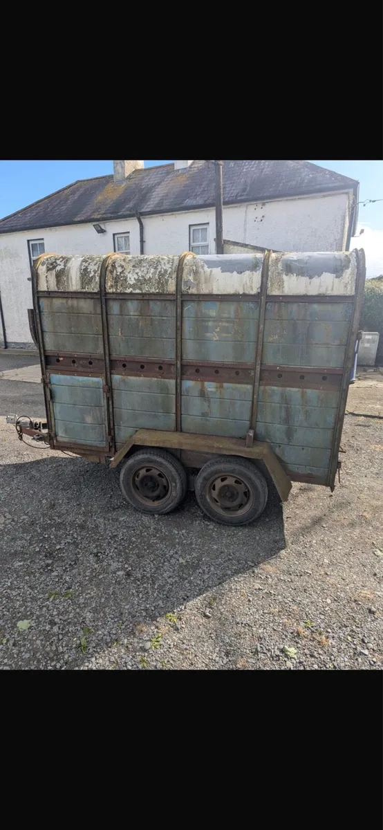 Two cow trailer - Image 1