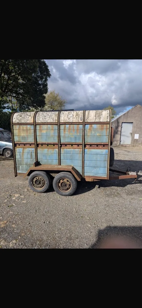 Two cow trailer - Image 2