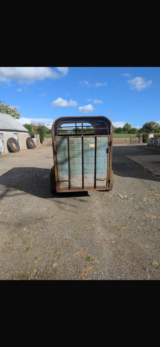 Two cow trailer - Image 3