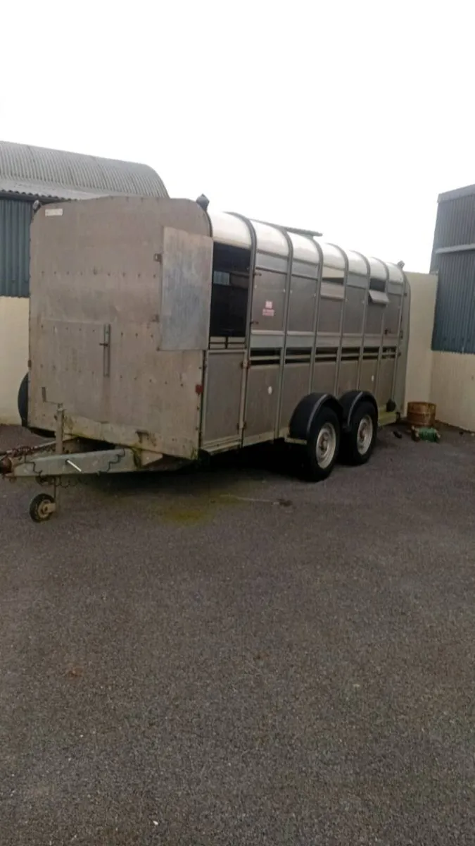 Iforwillams  14 ft trailer - Image 1