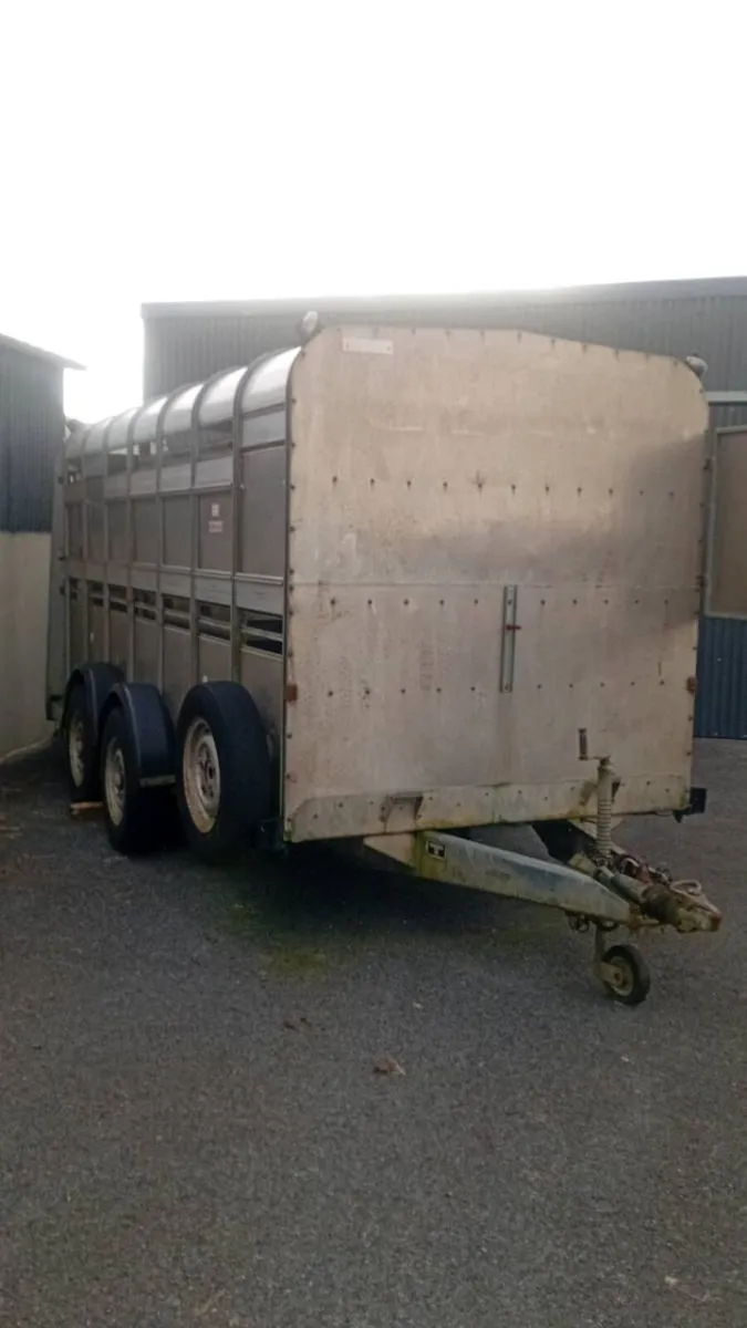 Iforwillams  14 ft trailer - Image 2