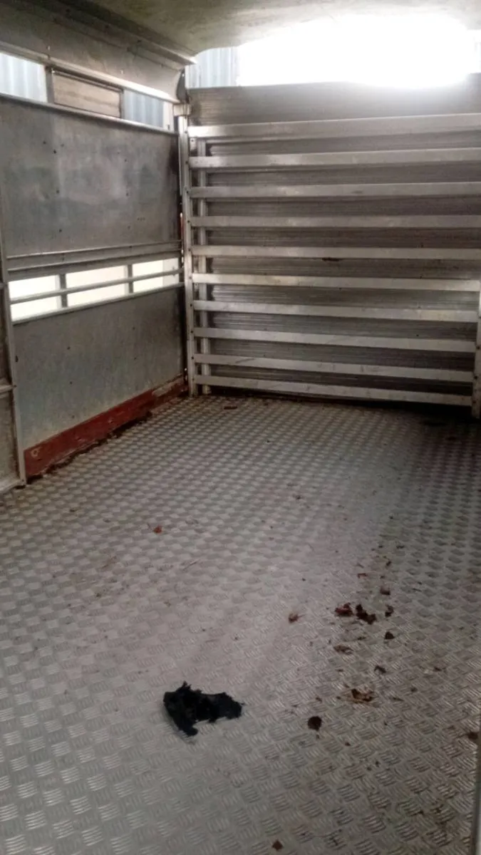 Iforwillams  14 ft trailer - Image 4