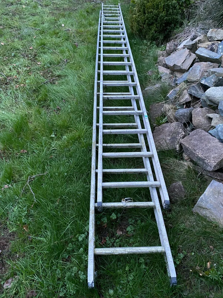 Heavy duty ladder - Image 1