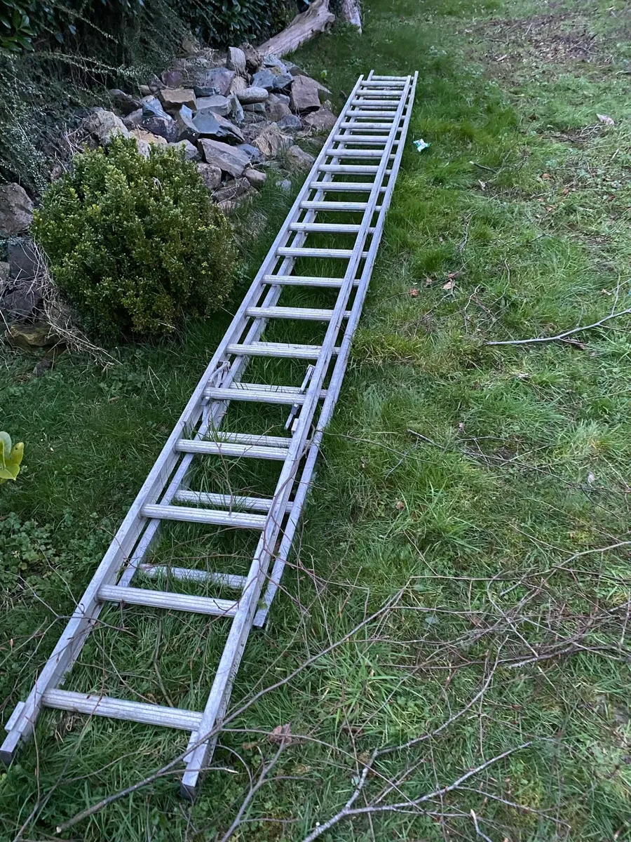 Heavy duty ladder - Image 2