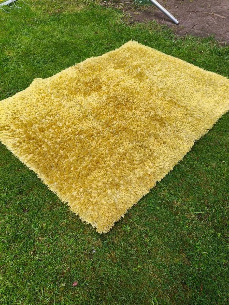 Beautiful RUGS all like new 25 each - Image 4