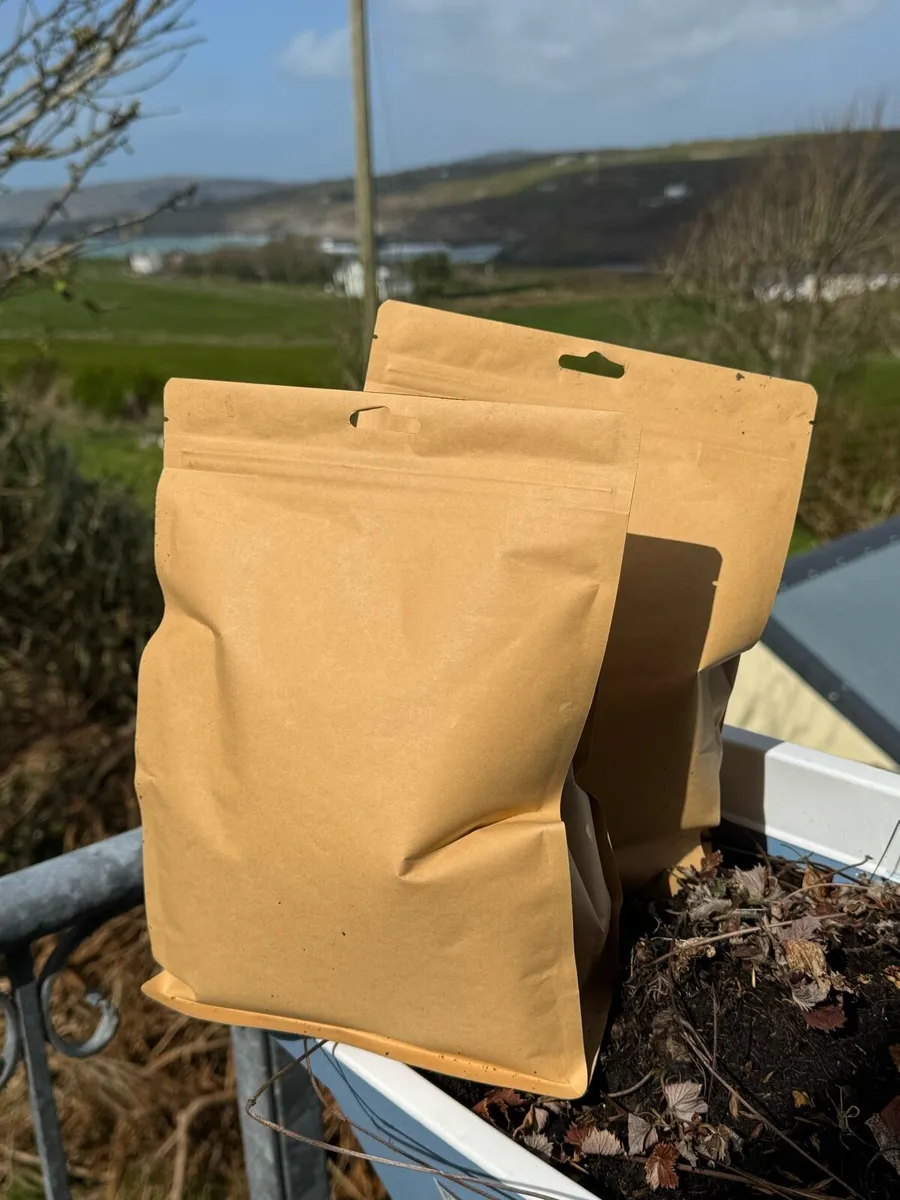 3 Litres Worm casting - Premium Natural Fertiliser - Image 1
