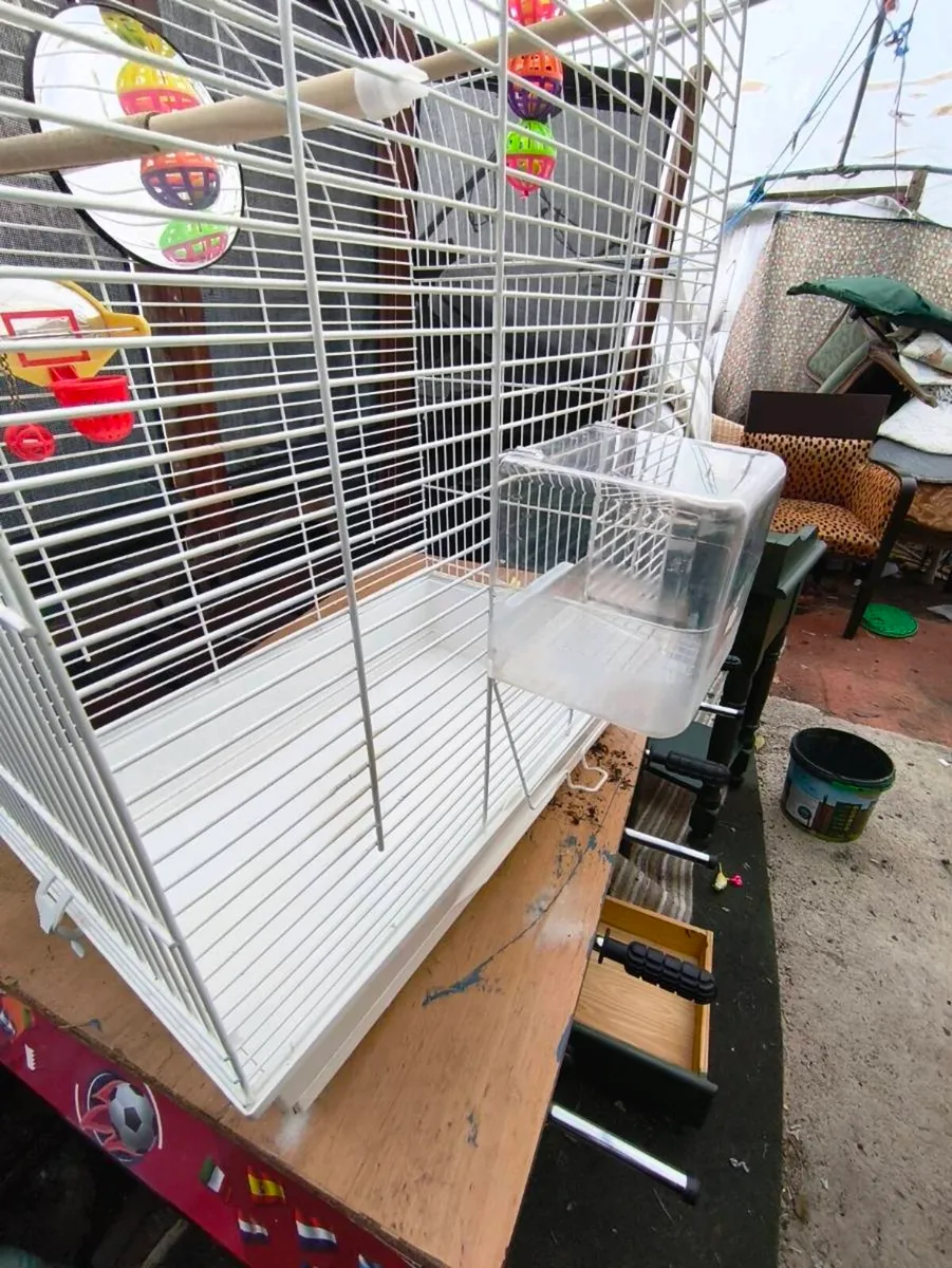 Beautiful large bird cage 55 euro - Image 4