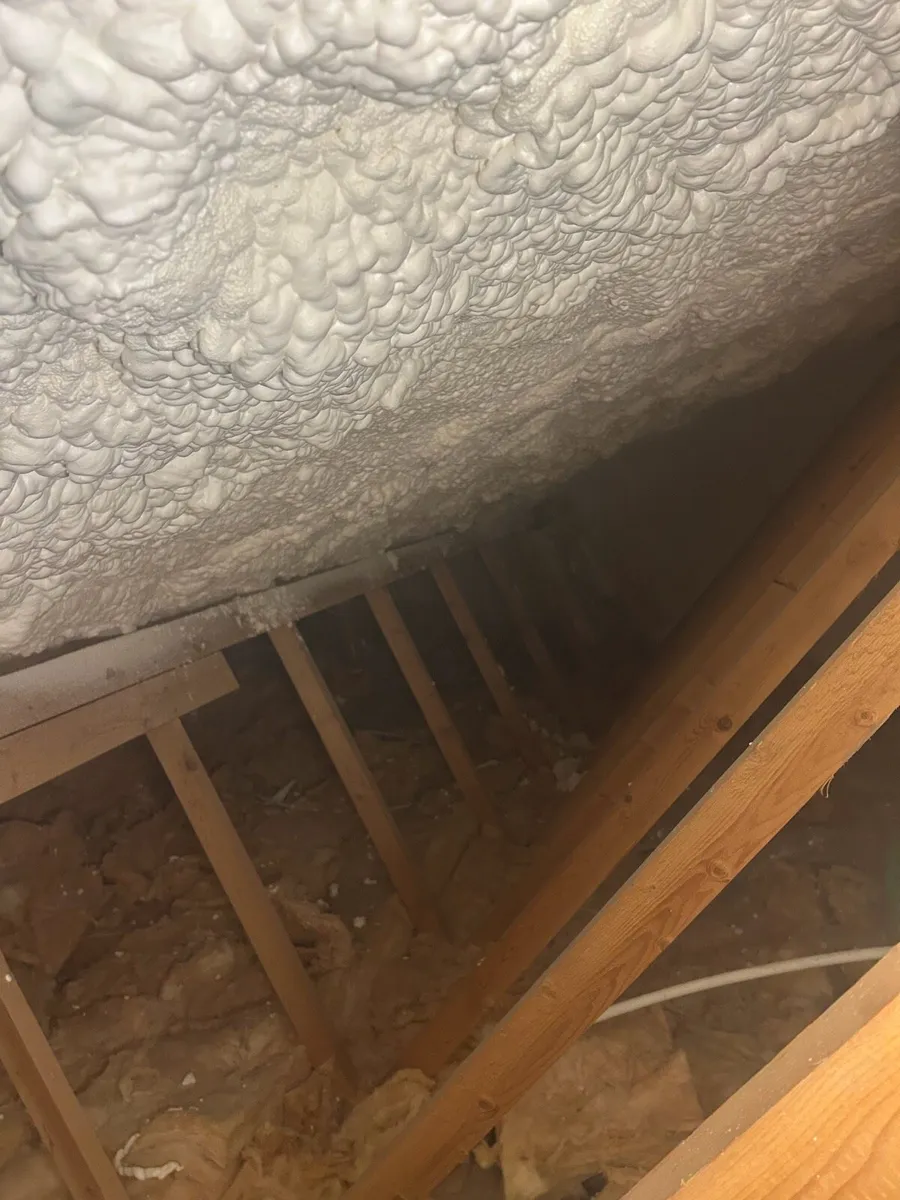 Spray Foam - Image 4