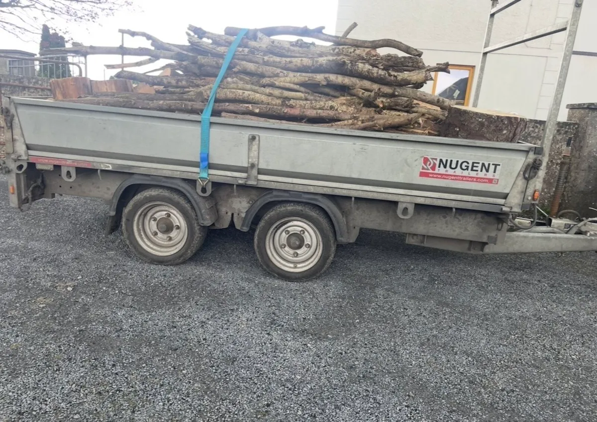 Cheap trailers of ash - Image 1