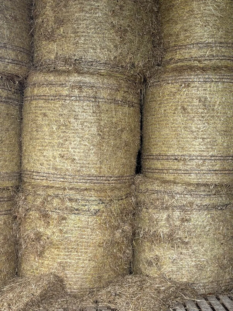 Straw