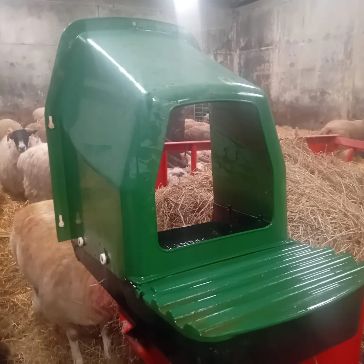 Wexford poultry show and sale - Image 4