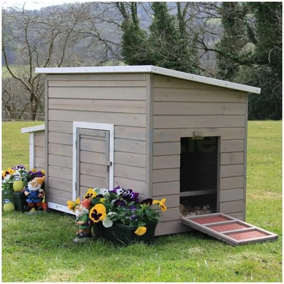 Chicken Coop Up to 8 Chickens - Image 4