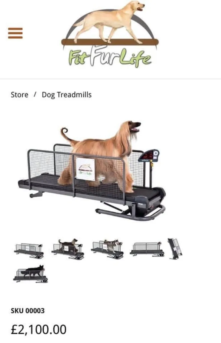 Runs Kennels and treadmill - Image 3