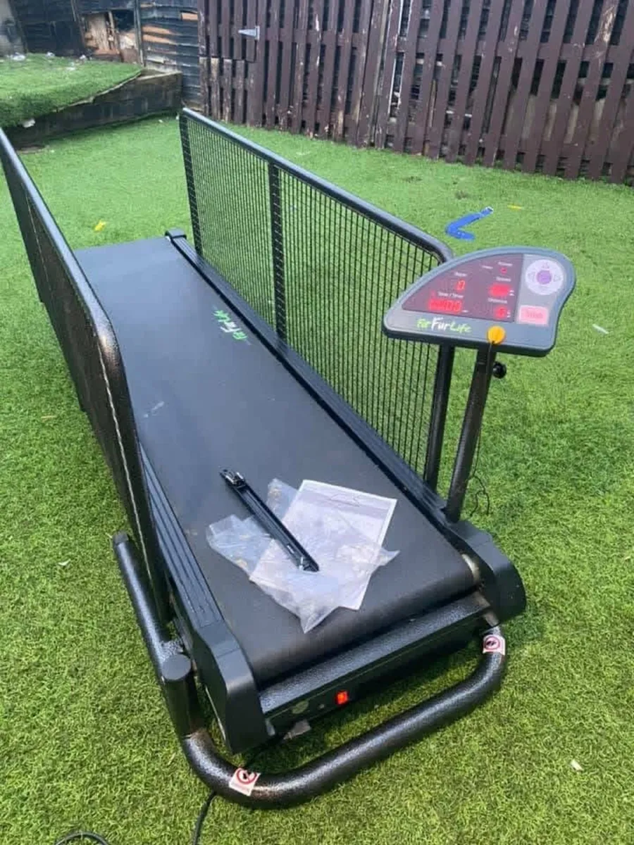 Runs Kennels and treadmill - Image 2