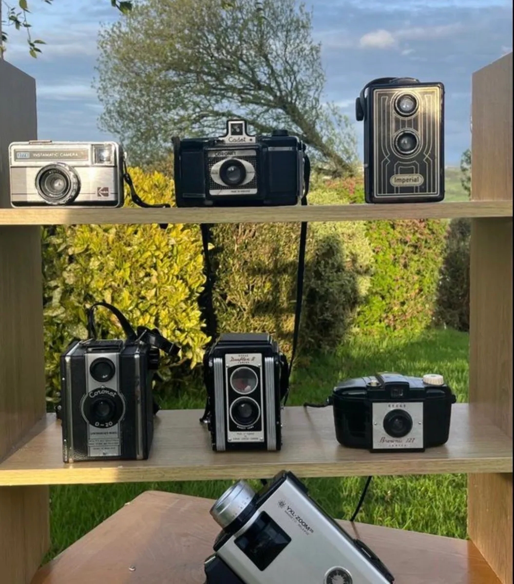 11 vintage cameras - Image 1