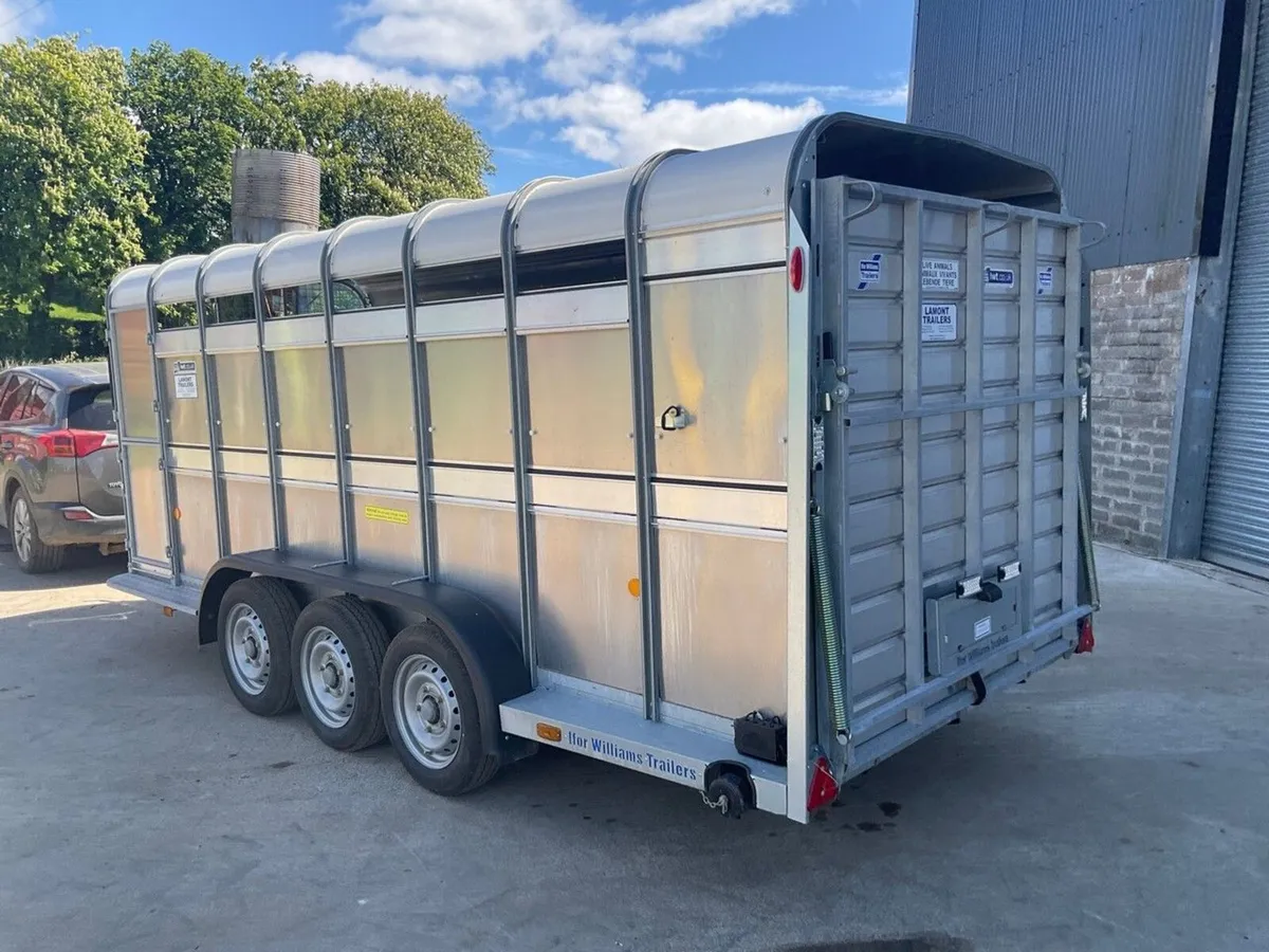 IFOR WILLIAMS 16ft x 6ft LIVESTOCK TRAILER - Image 2