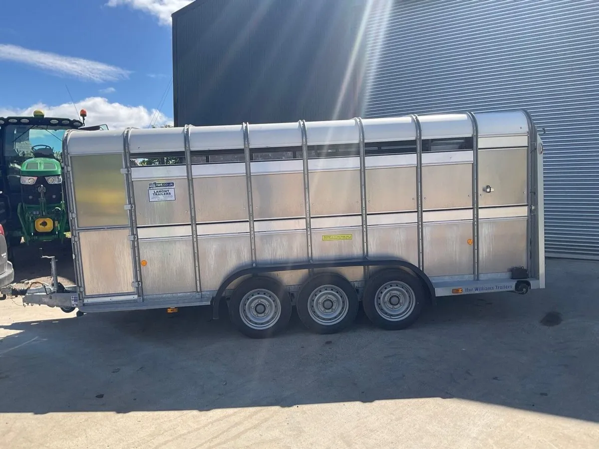 IFOR WILLIAMS 16ft x 6ft LIVESTOCK TRAILER - Image 3