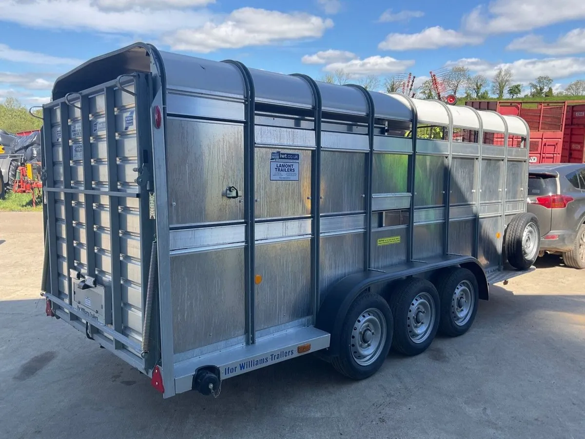 IFOR WILLIAMS 16ft x 6ft LIVESTOCK TRAILER - Image 4