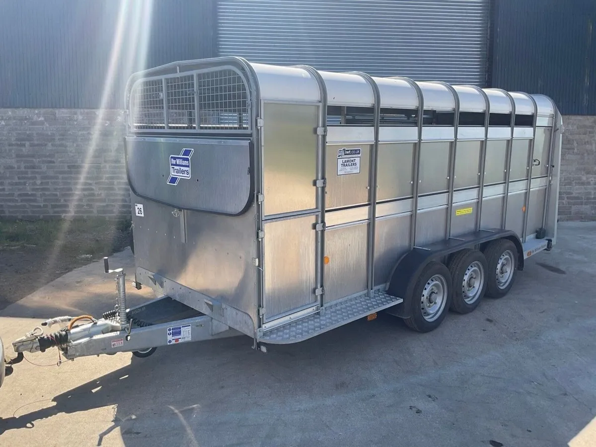 IFOR WILLIAMS 16ft x 6ft LIVESTOCK TRAILER - Image 1