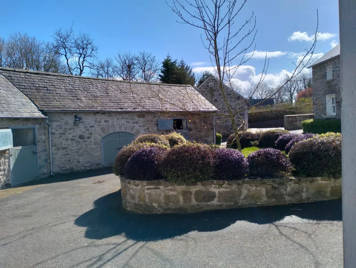 Livery space available in Ballyhale, Co.Kilkenny - Image 1