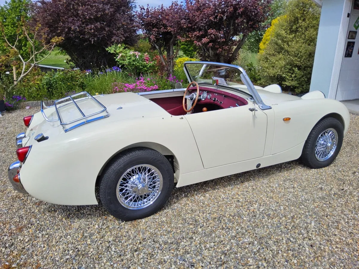 1959Austin Healey Sprite Mk1 - Image 1