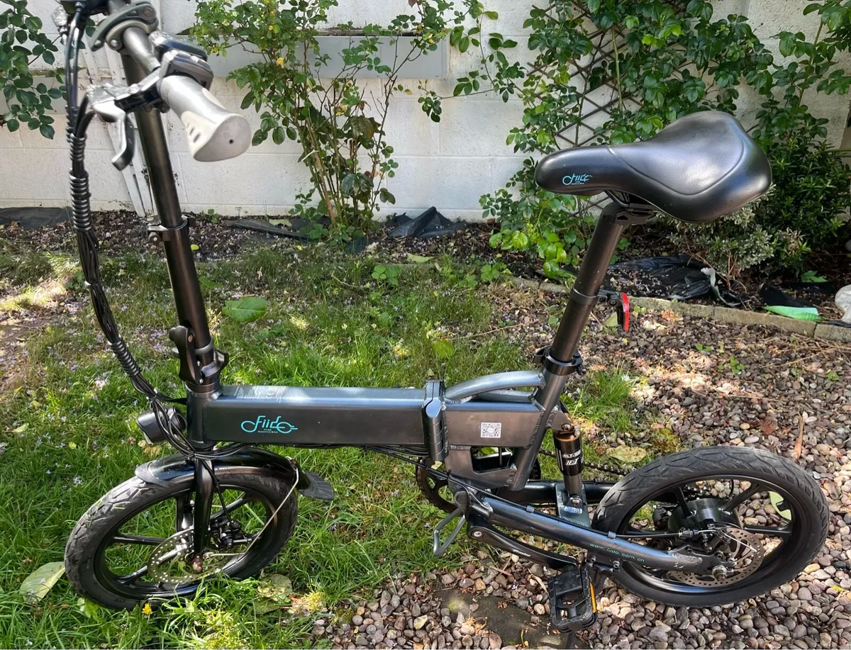Electric bike - Image 1