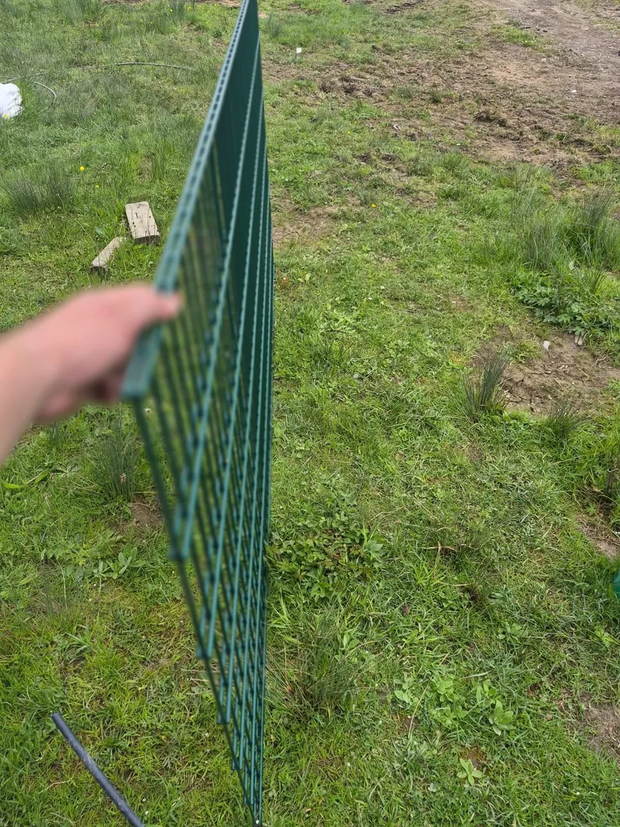 Double wire fencing - Image 4