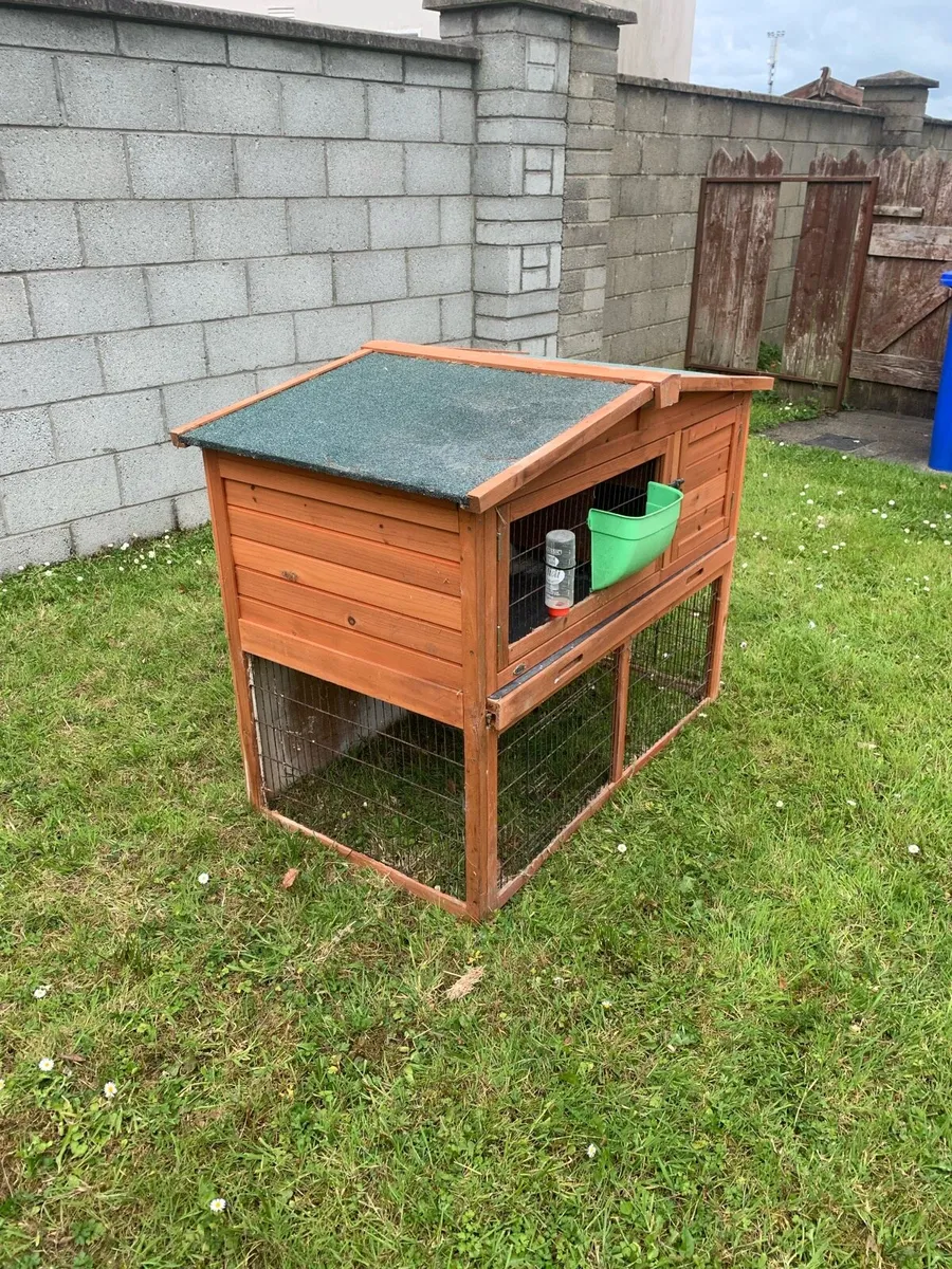 Rabbit hutch - Image 4