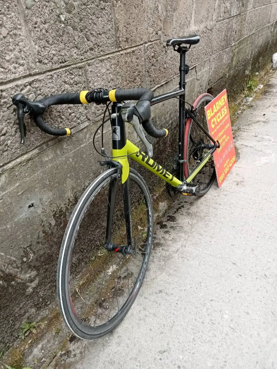 Bikes - Image 1