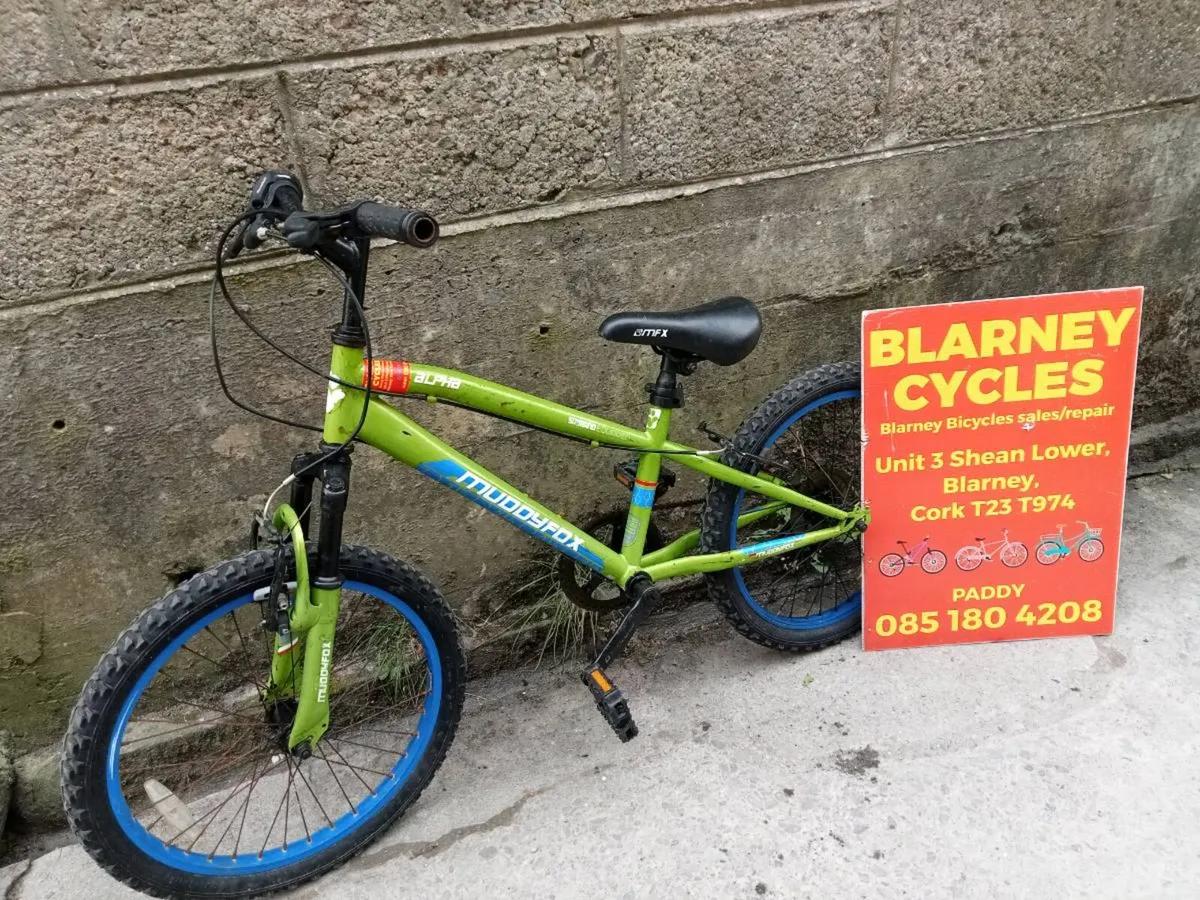 Bike - Image 1