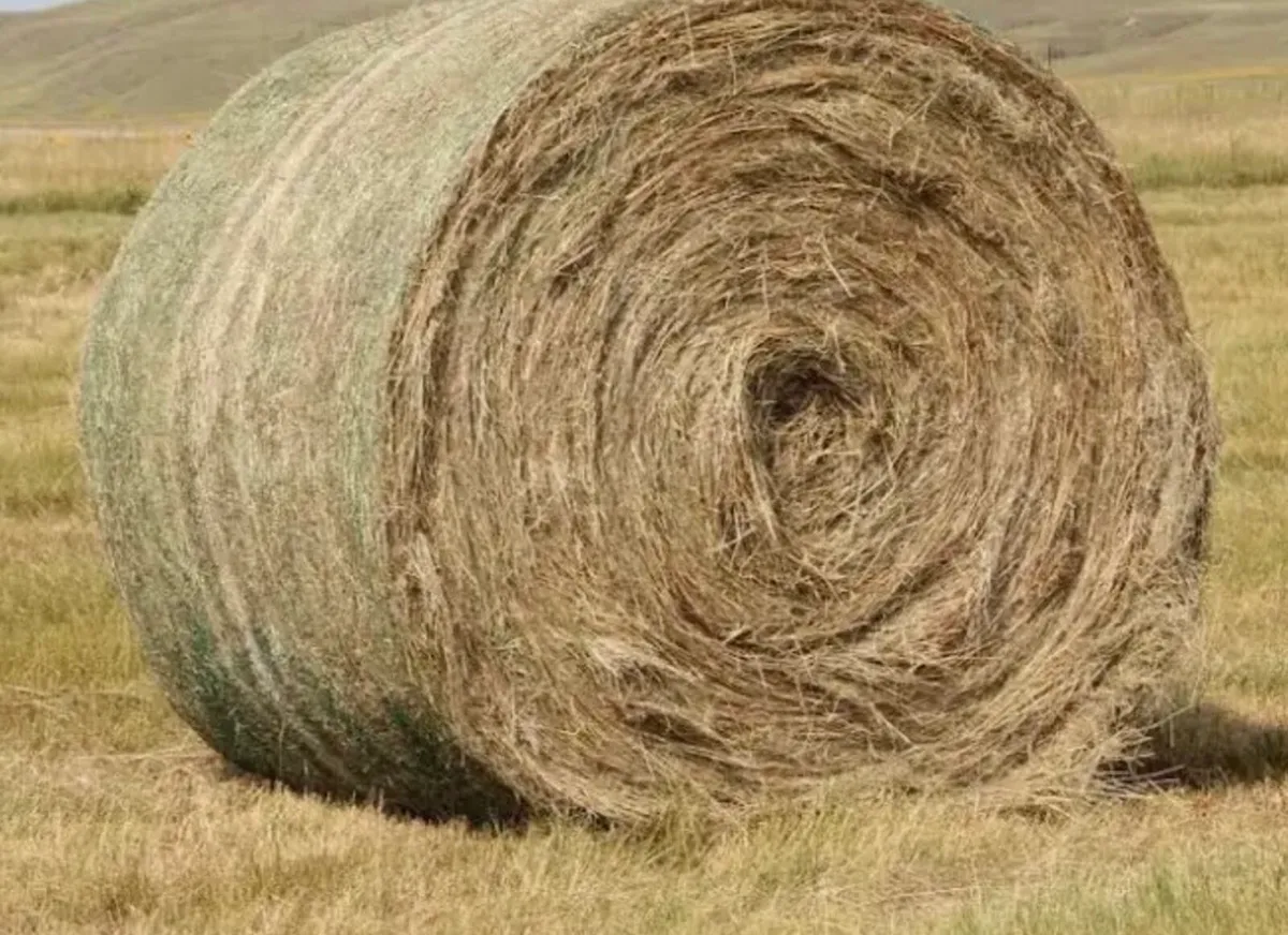 Large bales of hay  suitable for horses delivered