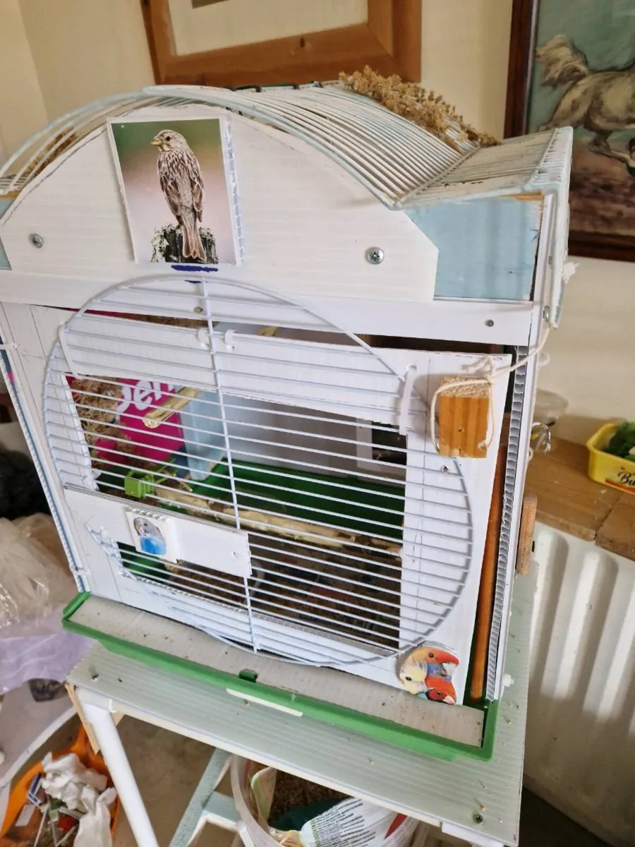 Bird .cage. - Image 1