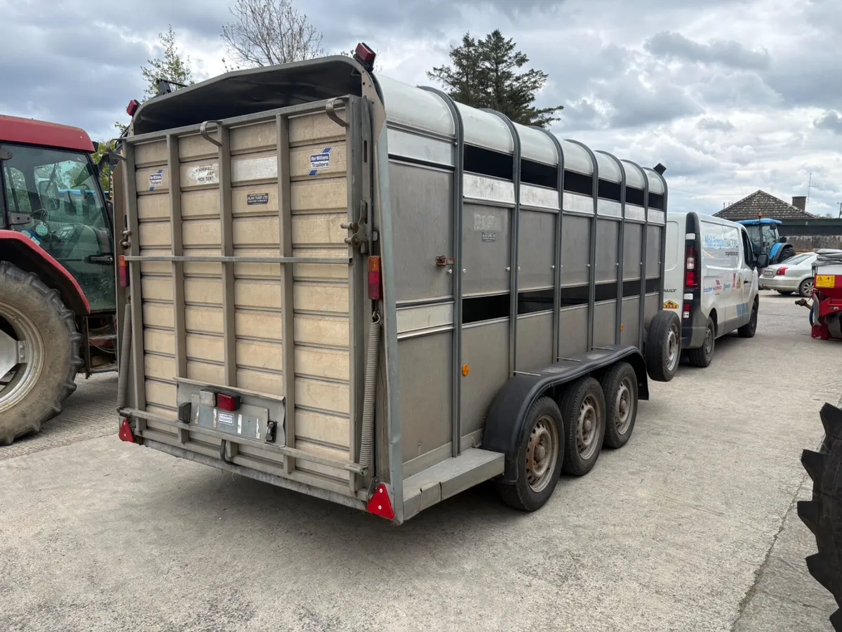 14ft Ivor Williams trailer - Image 4