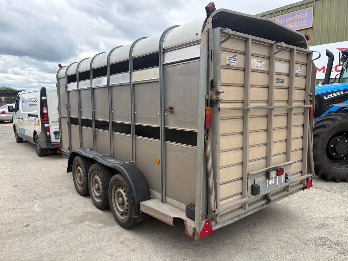 14ft Ivor Williams trailer - Image 3