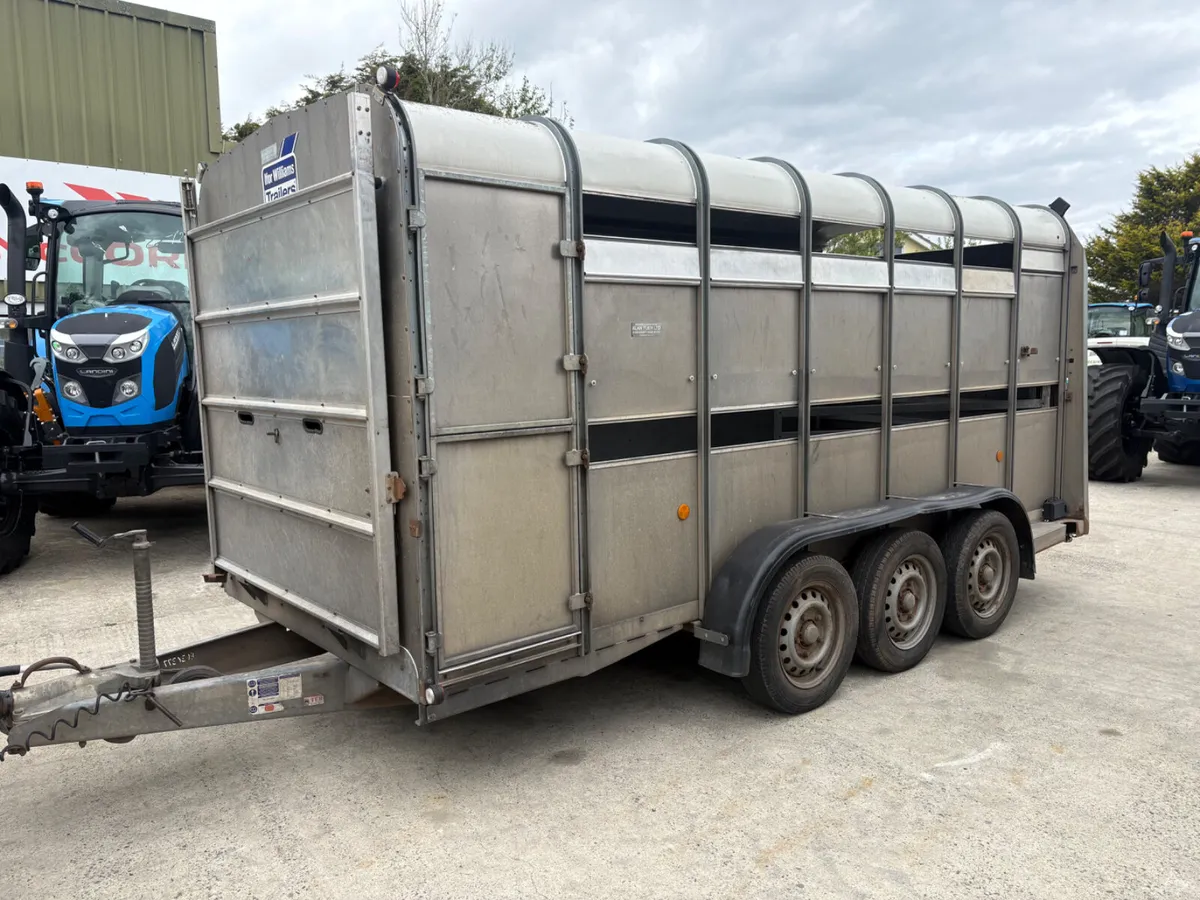 14ft Ivor Williams trailer - Image 2