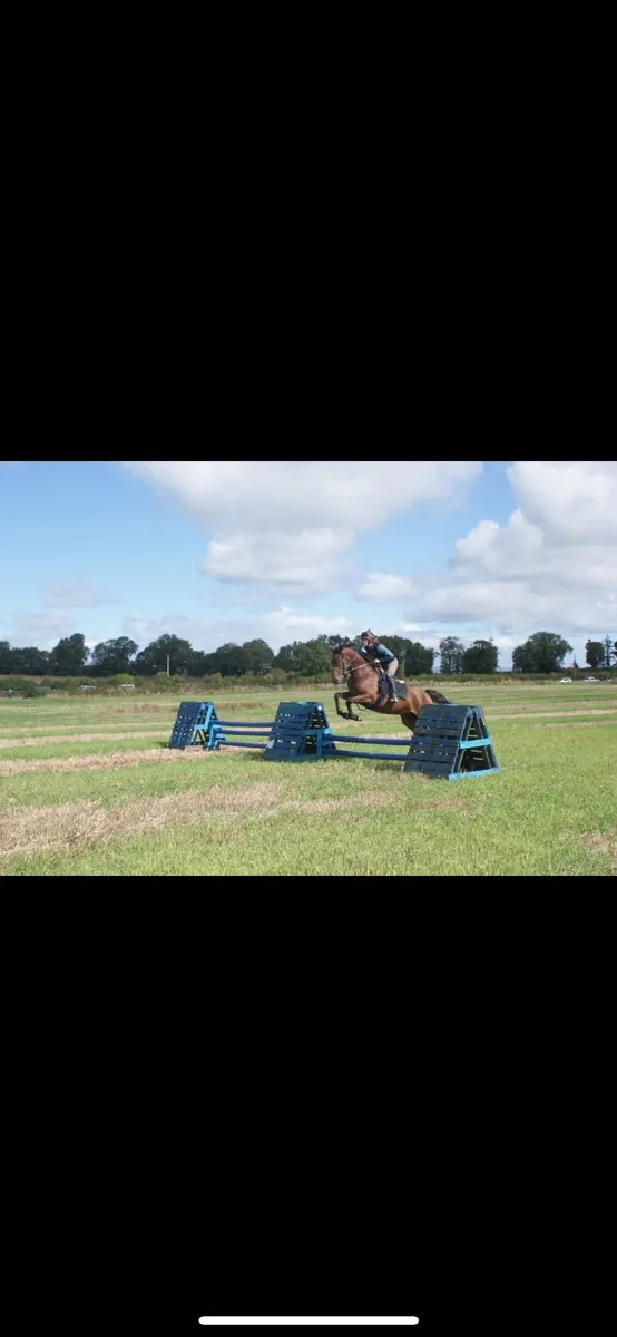 Horse - Image 3
