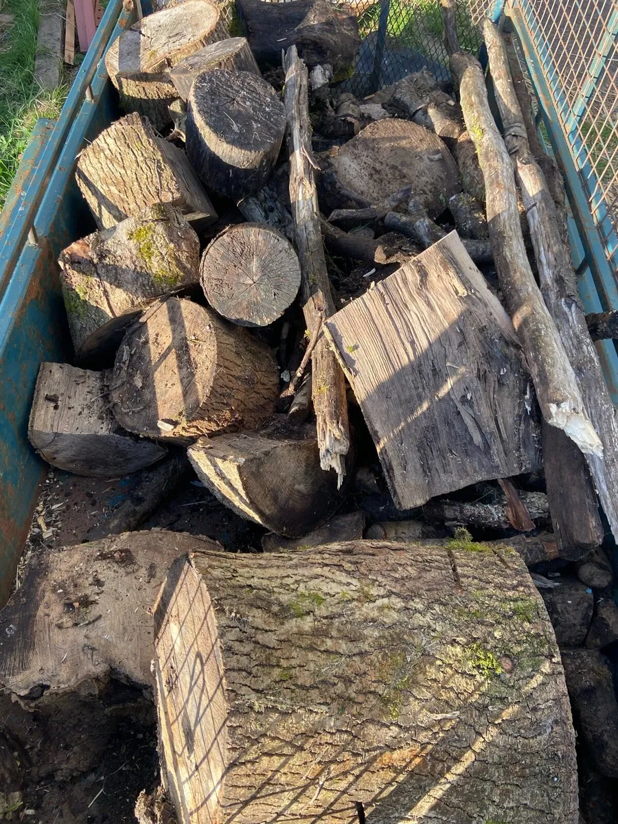 Firewood