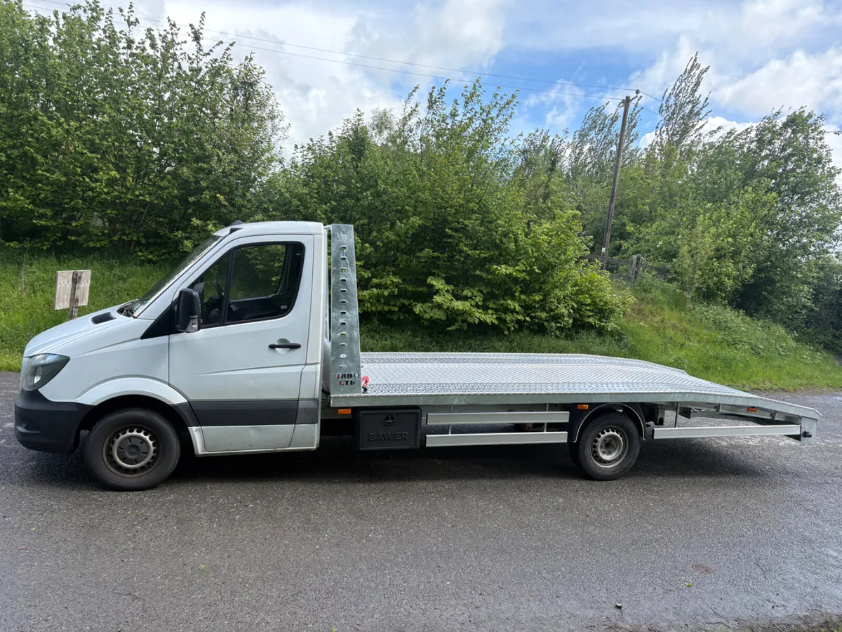Mercedes  Sprinter 16 Brand new TRDM Body Doe &Tax - Image 4