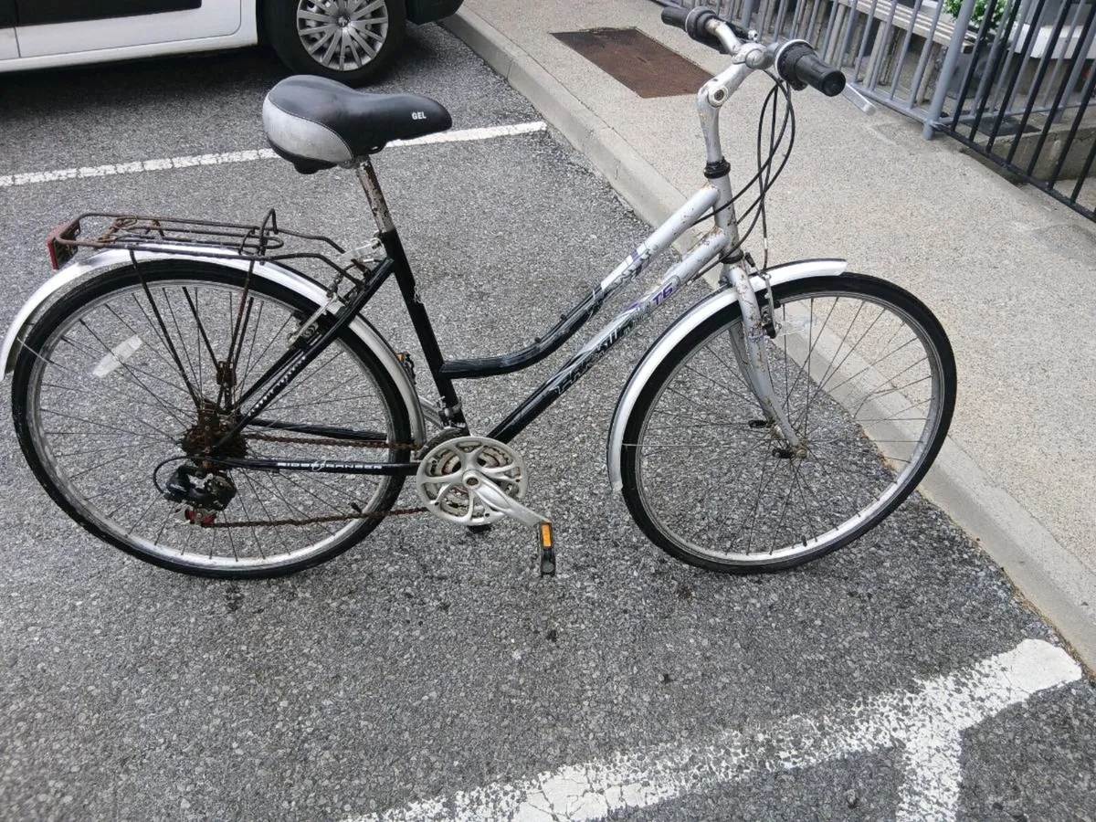 ADULTS BIKE - Image 1