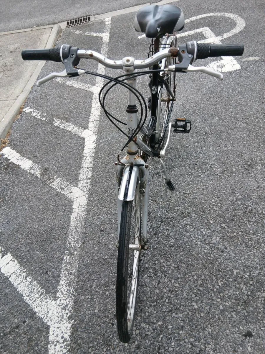 ADULTS BIKE - Image 2