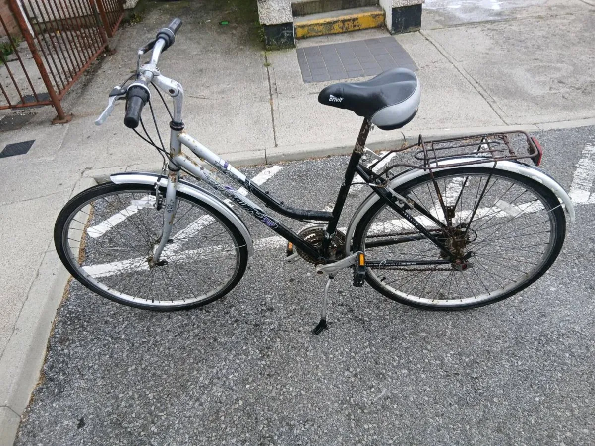 ADULTS BIKE - Image 3