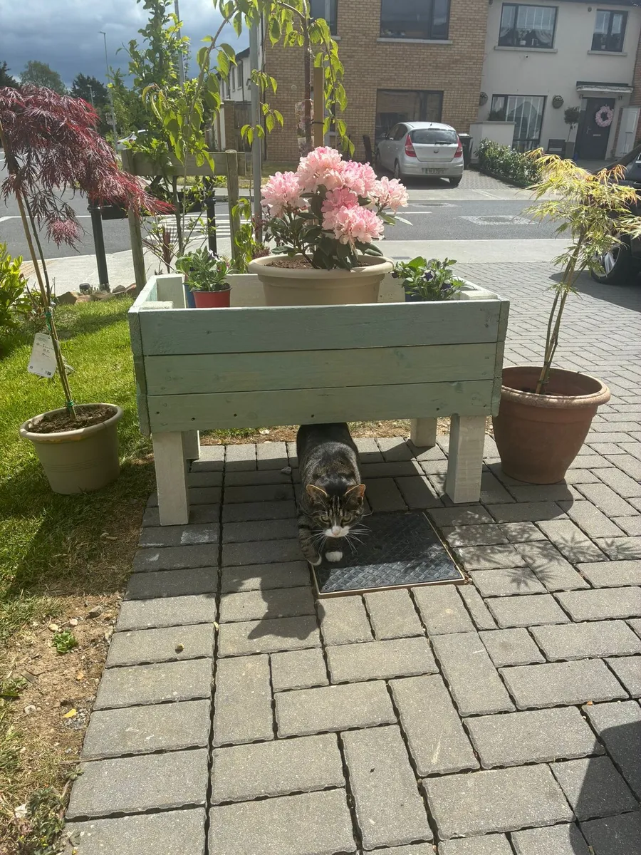 Rustic raised planter - Image 1
